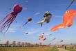 cerf volants poissons