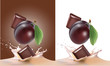 plum, milk and chocolate. plum, milk and chocolate.