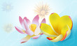 BeautyFlowers