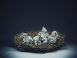 Conceptual photo of a nestling child