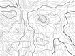abstract topographical map with no names, vector