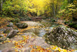 Photo en ligne au meilleur prix Autumn landscape