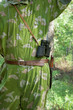 Photo: At the hunter with itself the field-glass and a knife At the hunter with itself the field-glass and a knife