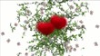White love background one heart