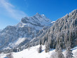 Winter in the alps