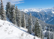 Winter in the alps