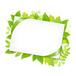 Green Leafs And Blank Gift Tag Green Leafs And Blank Gift Tag