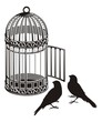 Bird cage
