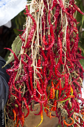 Photo: Peperoncino Peperoncino