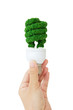 eco light bulb concept