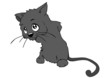 Katze