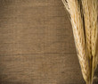 ears spike on wood texture ears spike on wood texture