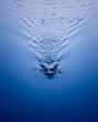 Photo: pool water great as a background pool water great as a background