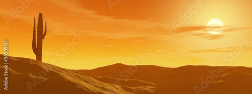 Illustration: Sunset in the desert Sunset in the desert