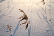 Snow surface