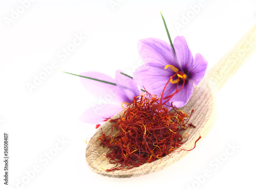 Photo : Dried saffron spice and Saffron flowers Dried saffron spice and Saffron flowers