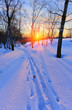 Ski track in countryside at sunset Ski track in countryside at sunset