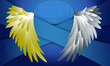 Wings banner