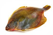 Fresh fishes flounder on white background Fresh fishes flounder on white background