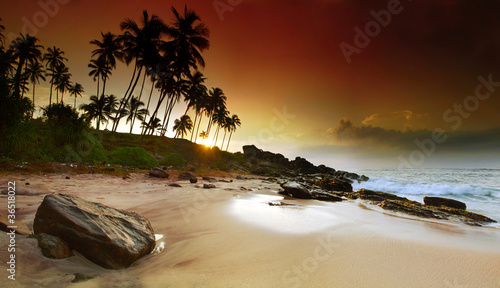 Photo: Sunrise under the palms Sunrise under the palms