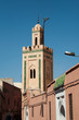 View My Portfolio