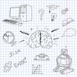 brain