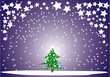 fir