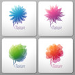 Nature. Elements for design. Vector illustration.