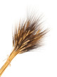 Grano