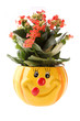 Flower pot