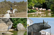 Foto: camargue camargue