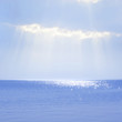 Foto: Flecks of sunlight Flecks of sunlight