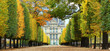 Autumn in Paris