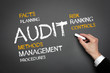 Audit Audit