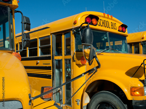 Photo: School Bus School Bus