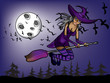 halloween witch flying at night on the background of moon
