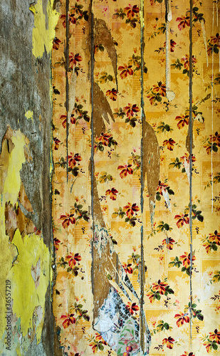 Foto: ripped wallpaper ripped wallpaper