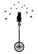 cat on monocycle with birds, vector
