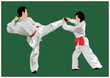 Kung fu fighting