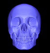 scull 3d