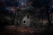 spooky house