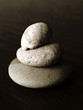 Worn and weathered rocks and shells from the sea