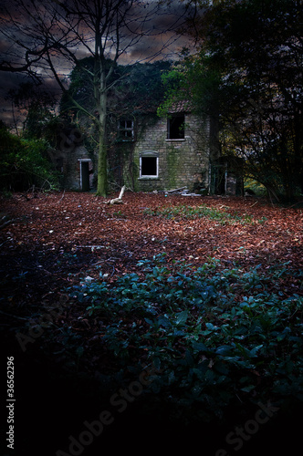 Photo: scary house scary house