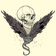 skull emblem