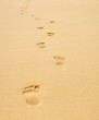 Footprints on the beach Footprints on the beach
