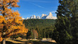 Paneveggio and Pale di San Martino, Alps, Italy