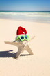 Photo: Starfish with glasses and hat Starfish with glasses and hat