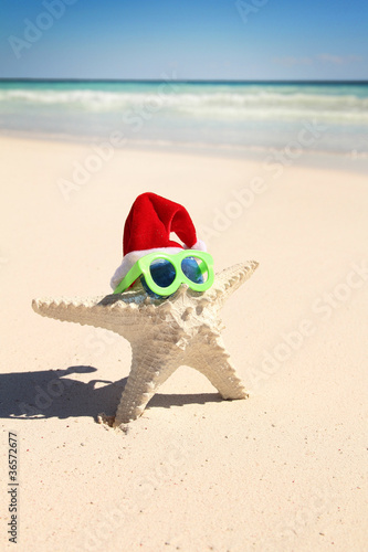 Photo: Starfish with glasses and hat Starfish with glasses and hat