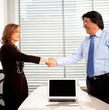 Business partners handshaking