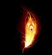 Vector: phoenix feather phoenix feather